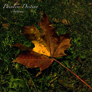 柠檬福利精品视频导航
