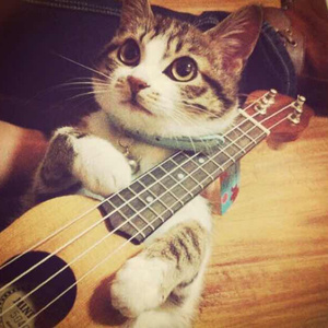 柠檬福利精品视频导航
